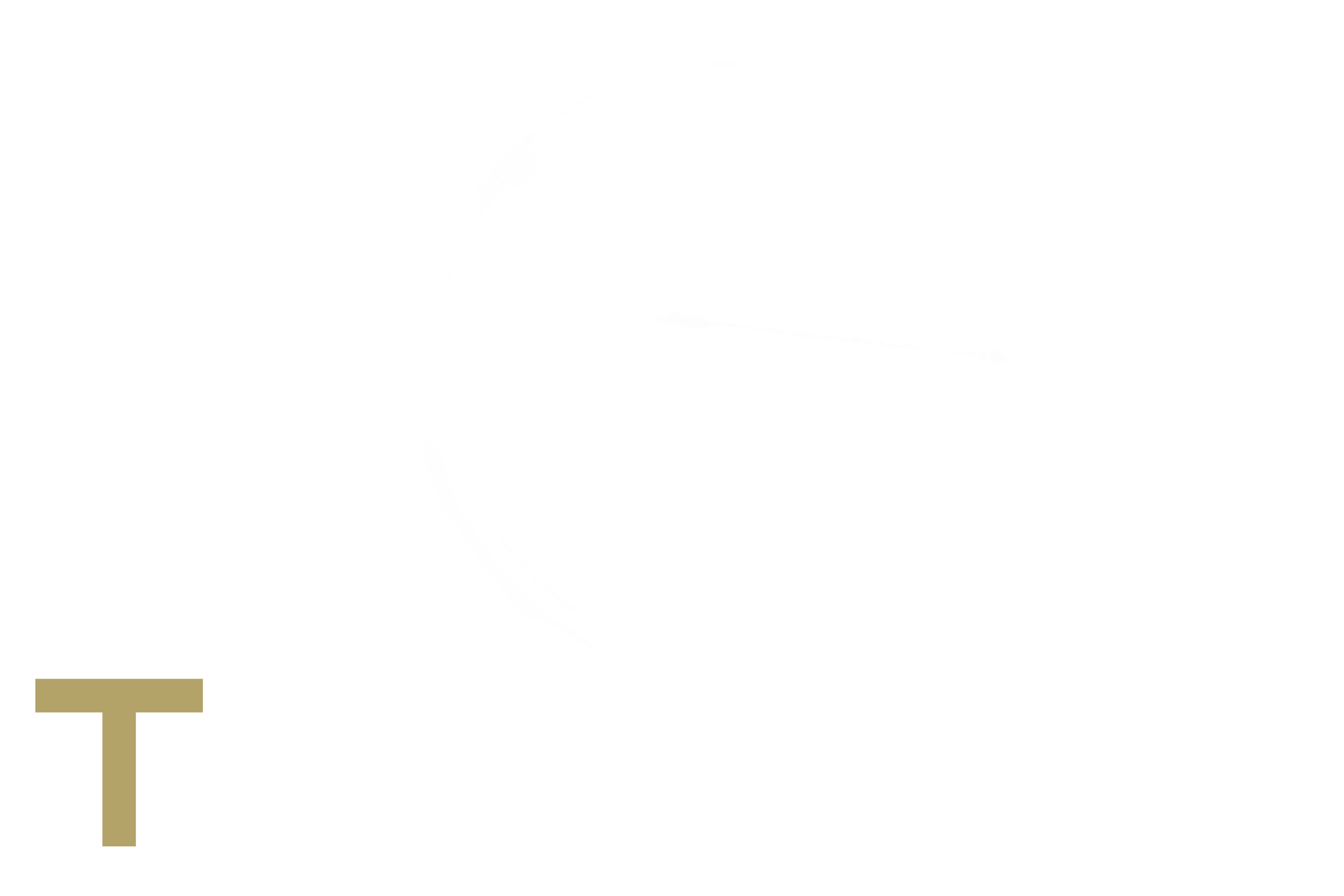 Teramis Logo